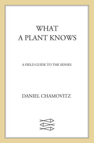 What a Plant Knows