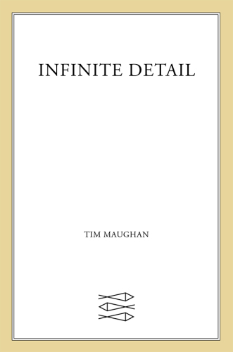 Infinite Detail