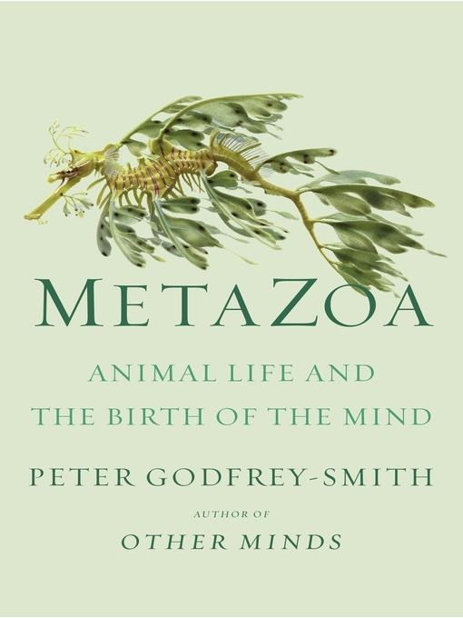 Metazoa