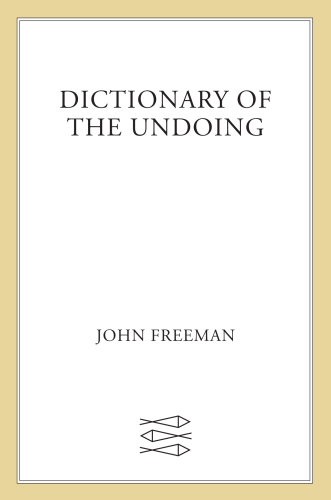 Dictionary of the Undoing