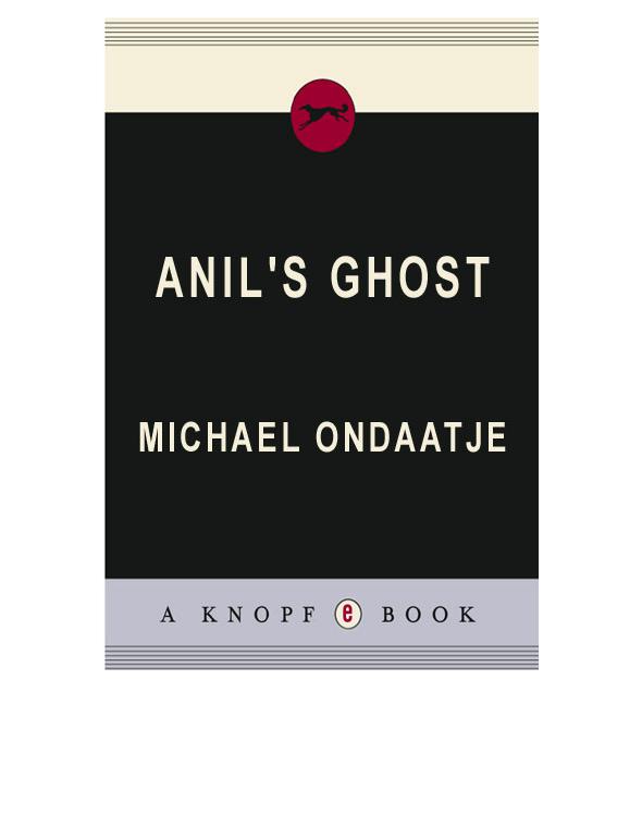 Anil's Ghost