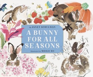 A Bunny for All Seasons