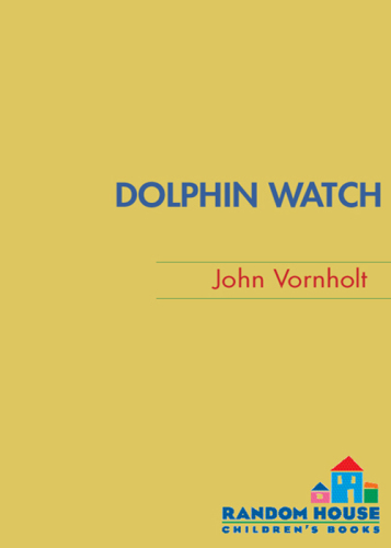 Dolphin Watch