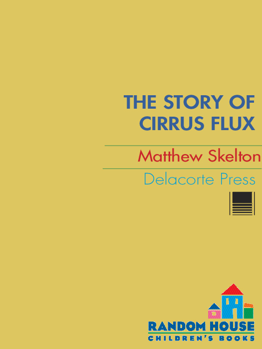 The Story of Cirrus Flux