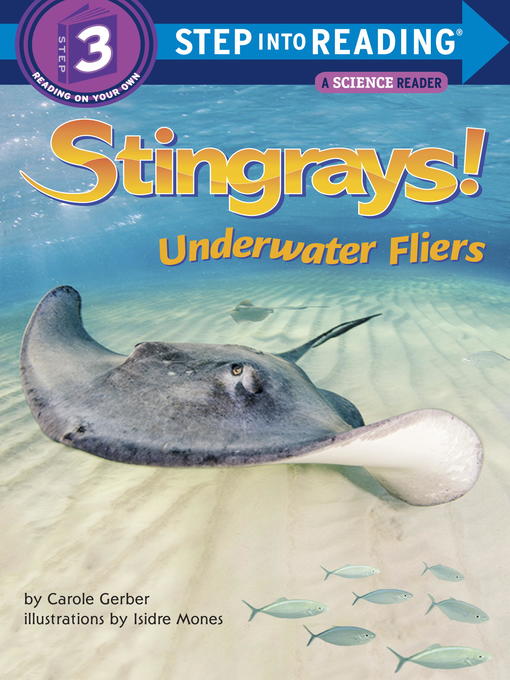 Stingrays! Underwater Fliers