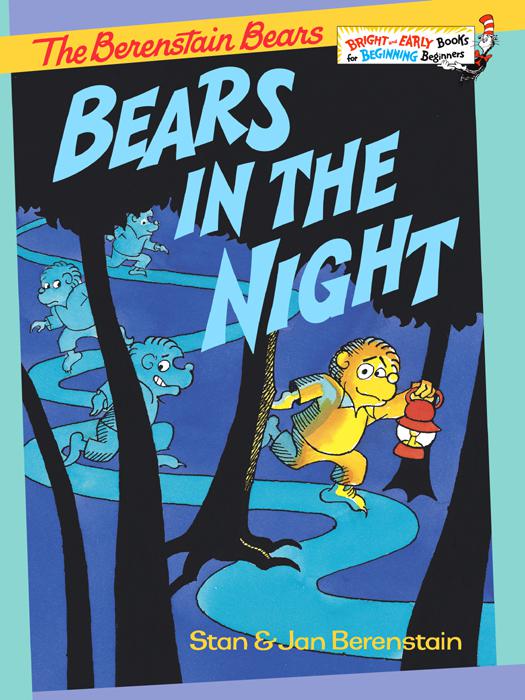 The Berenstain Bears Bears in the Night
