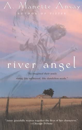 River Angel: A Novel