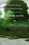 The River of Consciousness