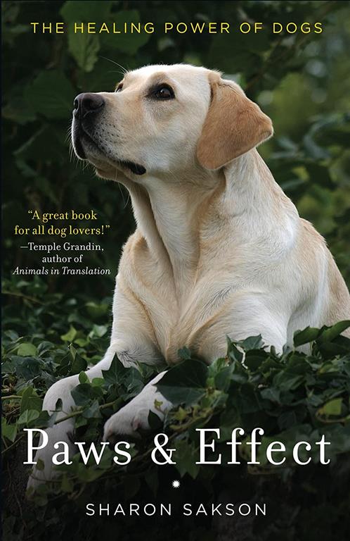 Paws &amp; Effect: The Healing Power of Dogs