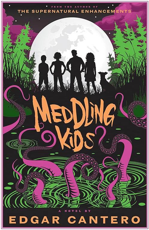 Meddling Kids: A Novel