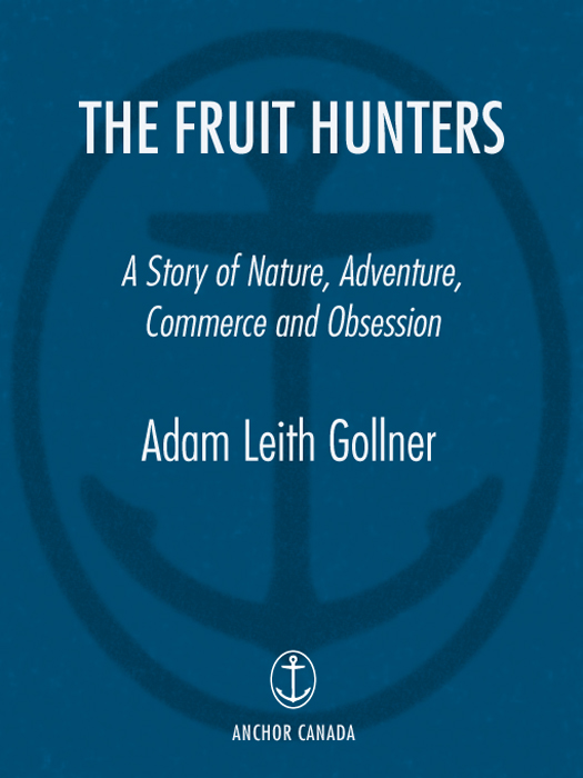 The Fruit Hunters