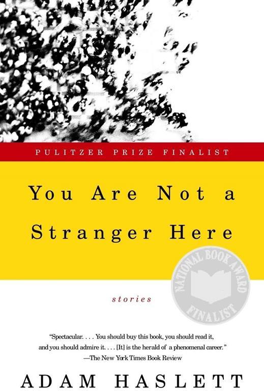 You Are Not a Stranger Here: Stories