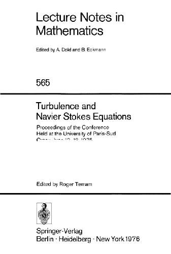 Turbulence and Navier Stokes Equations