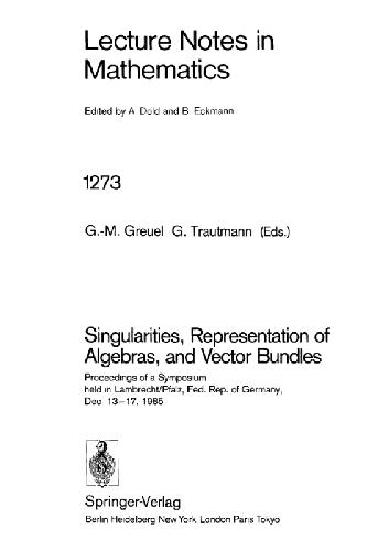 Singularities, Representation of Algebras, and Vector Bundles