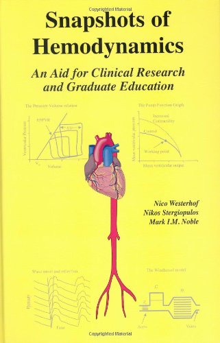 Snapshots of Hemodynamics