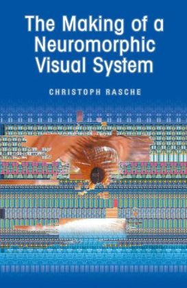 The Making of a Neuromorphic Visual System