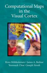 Computational maps in the visual cortex