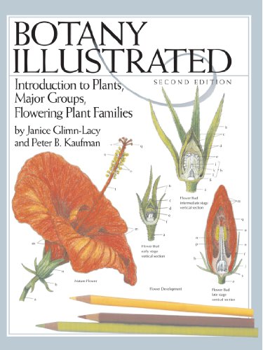 Botany Illustrated