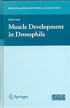 Muscle Development in Drosophilia