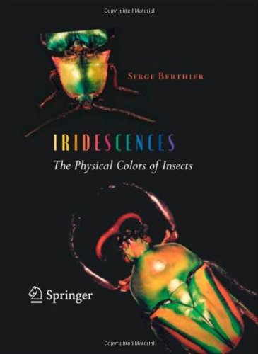 Iridescences
