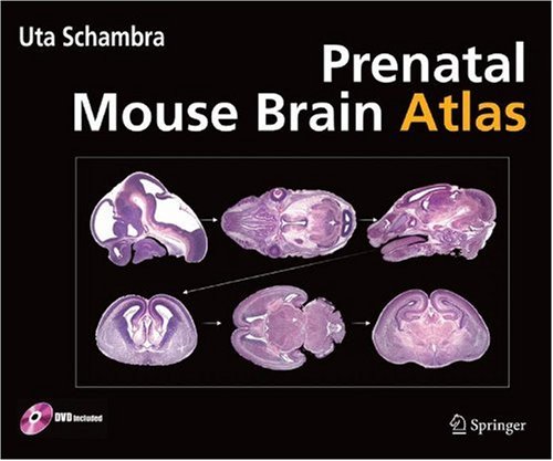 Prenatal Mouse Brain Atlas [With DVD]