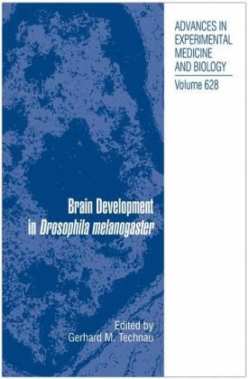 Brain Development in Drosophila melanogaster (Advances in Experimental Medicine and Biology, 628)