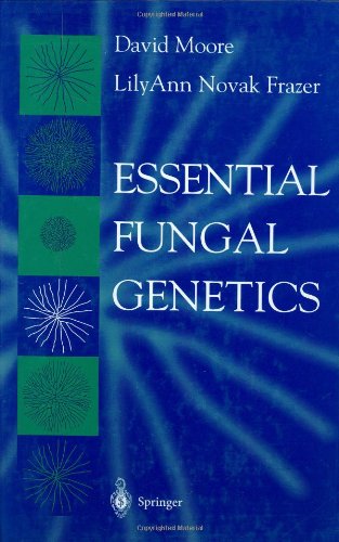 Essential Fungal Genetics