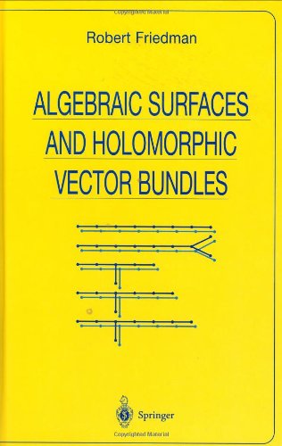 Algebraic Surfaces and Holomorphic Vector Bundles