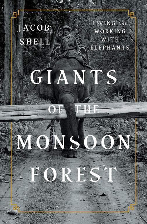 Giants of the Monsoon Forest