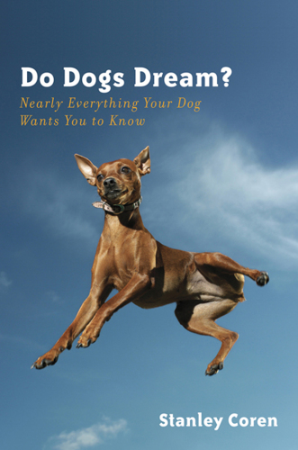 Do Dogs Dream?