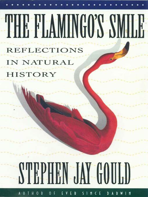 The Flamingo's Smile