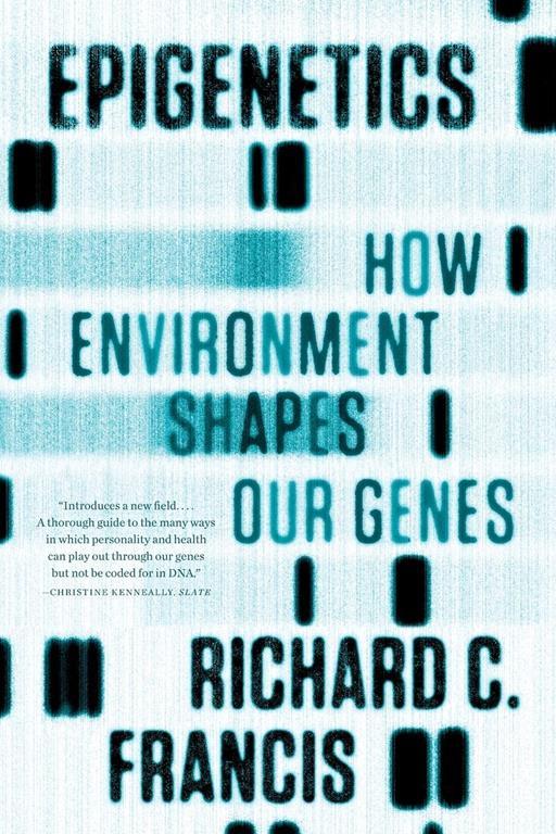 Epigenetics: How Environment Shapes Our Genes