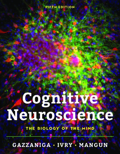 Cognitive Neuroscience