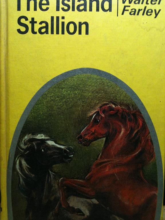 The Island Stallion