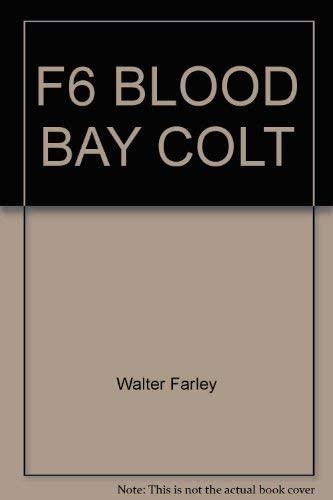 The Black Stallion's Blood Bay Colt