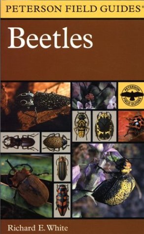 Beetles