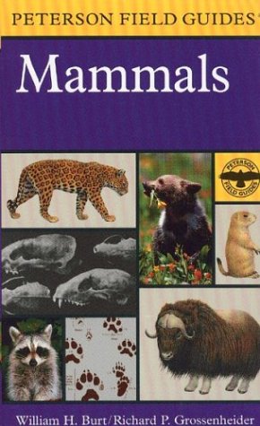 A Field Guide to Mammals