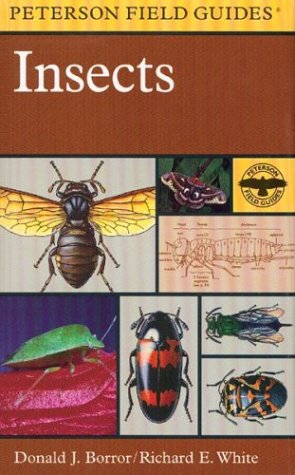 A Peterson Field Guide to Insects