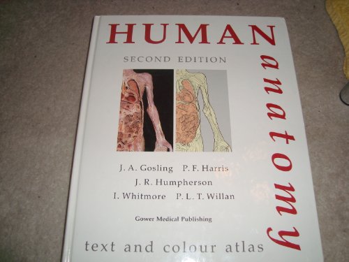 Human Anatomy