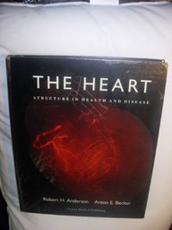 The Heart