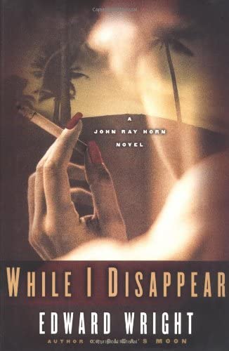 While I Disappear