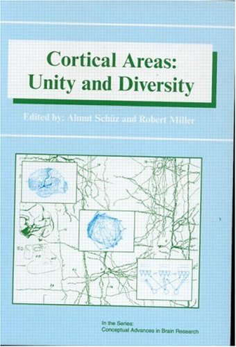 Cortical Areas