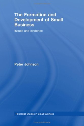 The Economics of Small Business (Routledge Studies in Small Business)