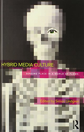 Hybrid Media Culture