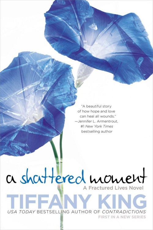 A Shattered Moment (A Fractured Lives novel)