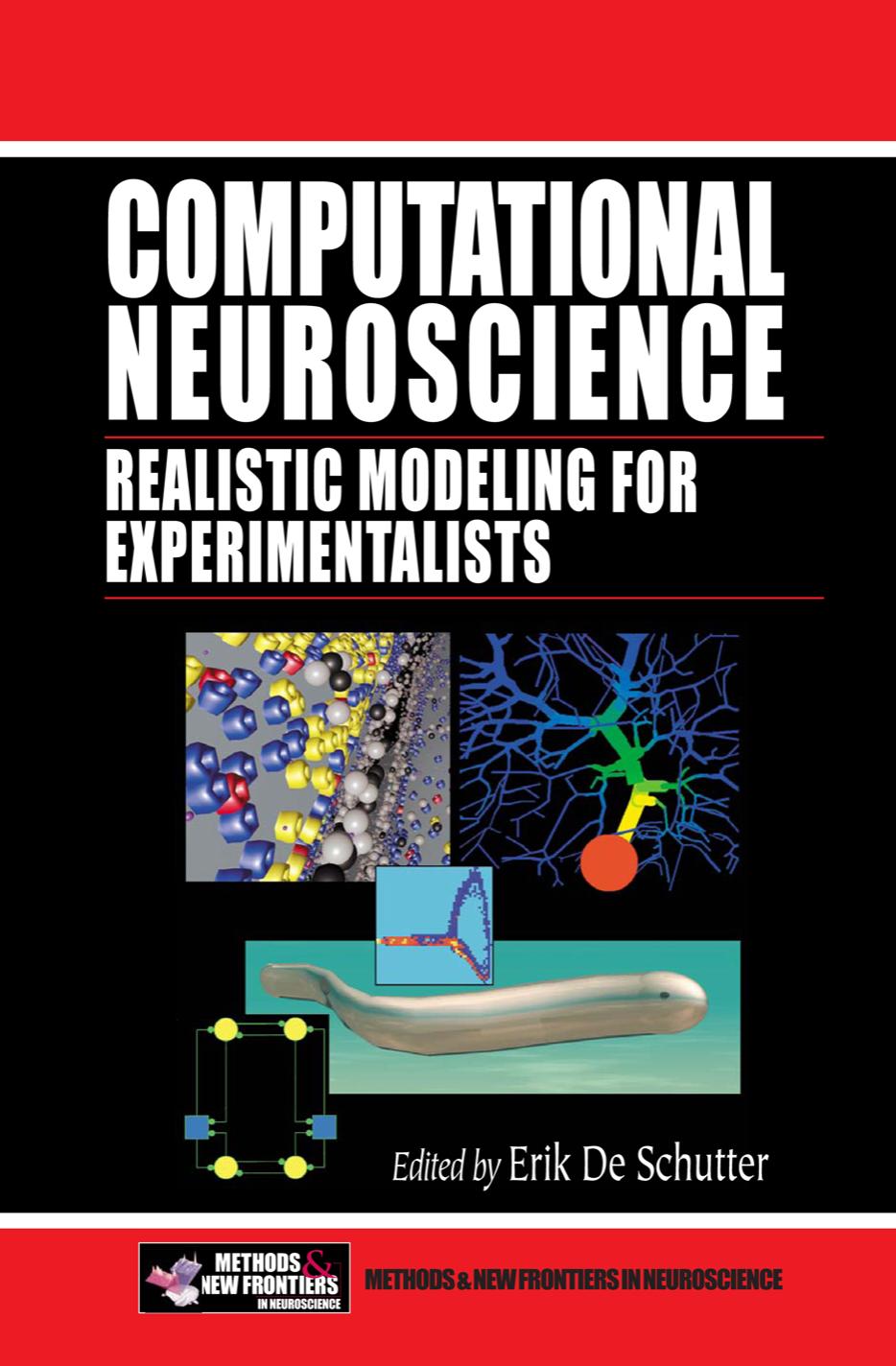 Computational neuroscience : realistic modeling for experimentalists