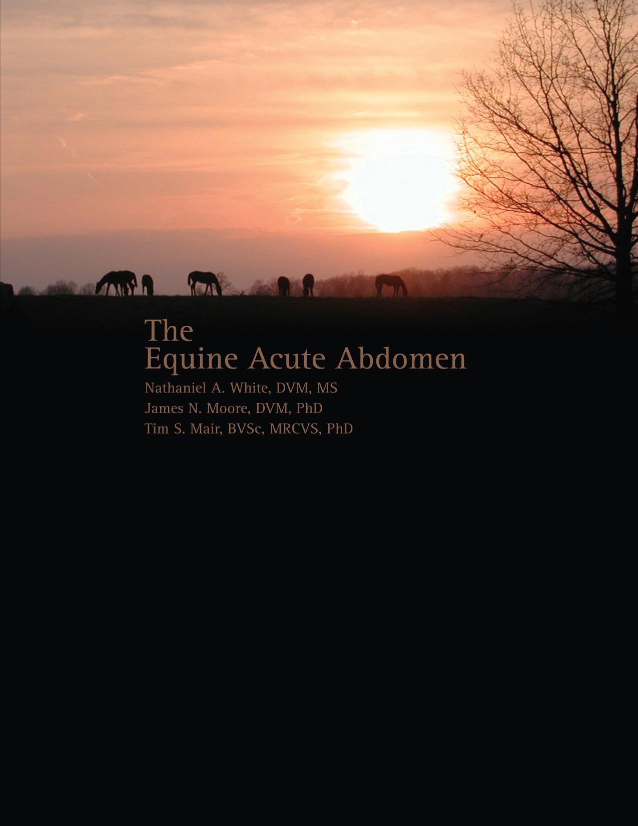 The equine acute abdomen