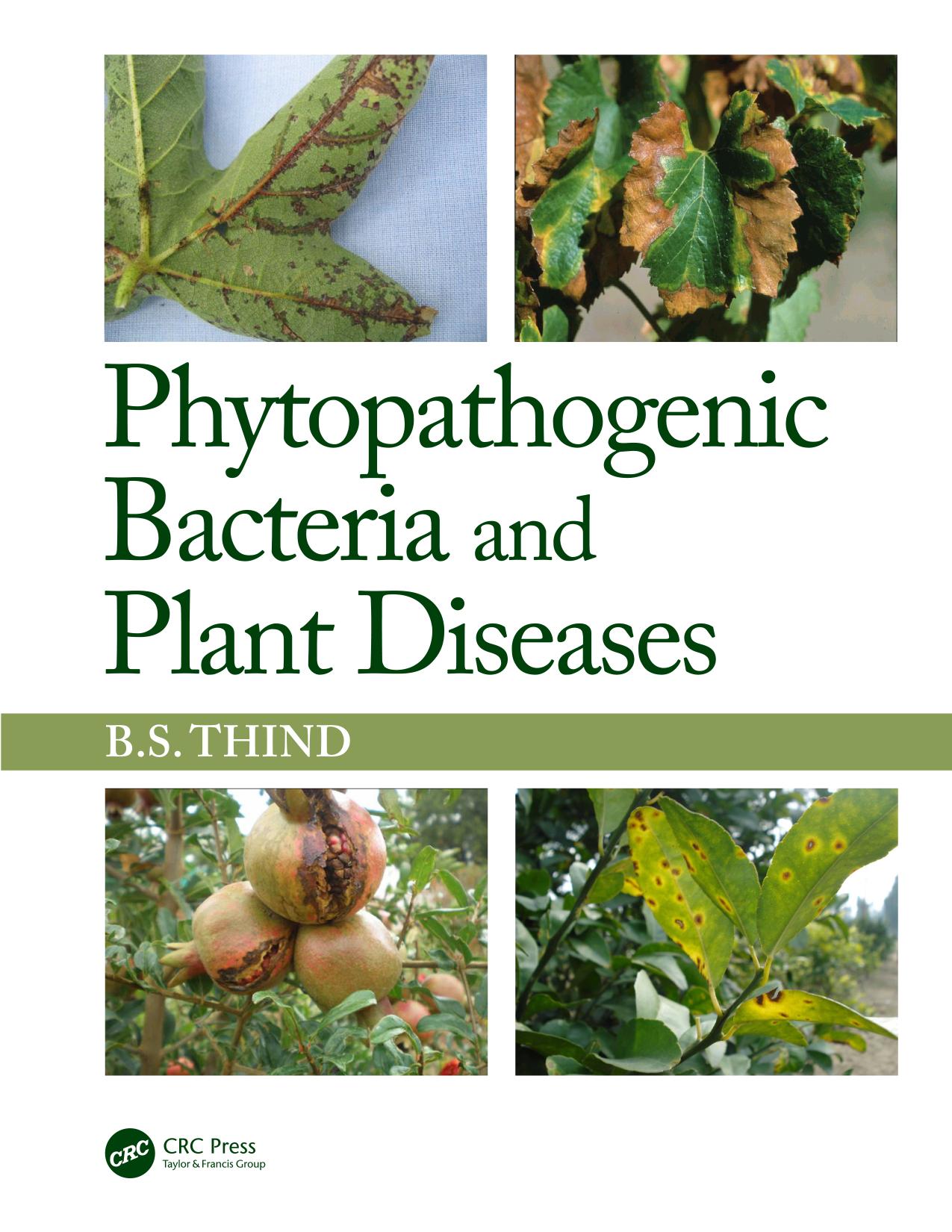 Phytopathogenic Bacteria and Plant Diseases