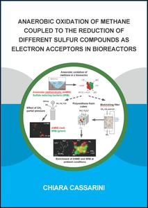 Anaerobic Oxidation of Methane Coupled to the Reduction of Different Sulfur Compounds as Electron Acceptors in Bioreactors