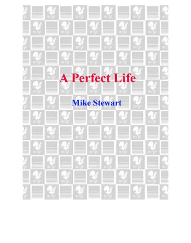 A Perfect Life